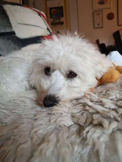 Fotochallange Nr. 57     PORTRÄT.   Beendet!!!!!!!!-Beitrag-Bild