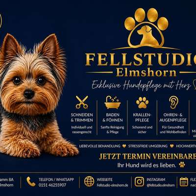 %{de_profession_title}-Hundesalon in Elmshorn-Bild