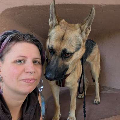 Hundetreffen-Spielgefährten gesucht-Bild