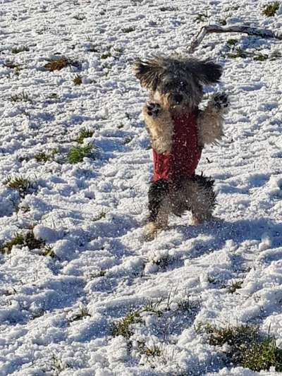 Lieblings Schnappschuss?-Beitrag-Bild