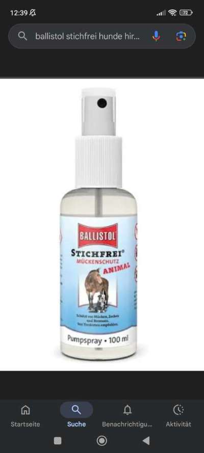 Hirschlausfliegen-Beitrag-Bild