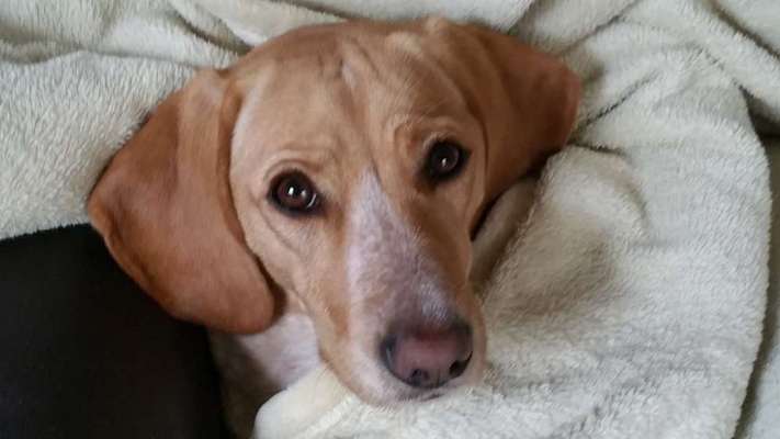 Fotochallange Nr. 57     PORTRÄT.   Beendet!!!!!!!!-Beitrag-Bild