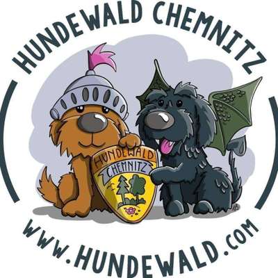 Hundeschulen-Hundewald Chemnitz-Bild