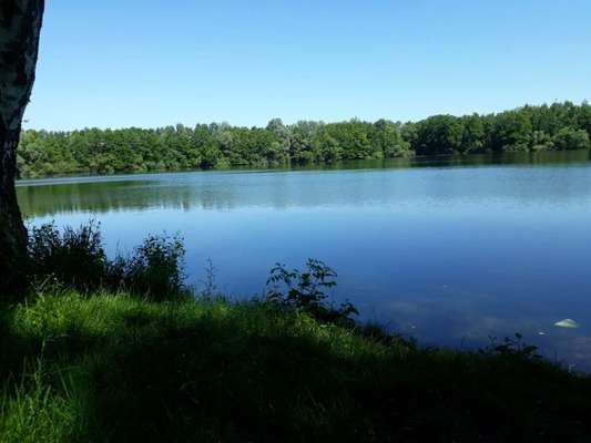 Hundeauslaufgebiet-Klutensee Lüdinghausen-Bild