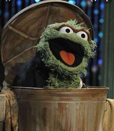 Wie heißt dein Hund?-Beitrag-Bild