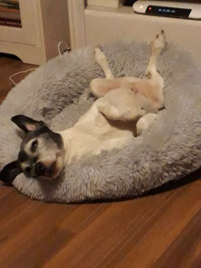 Erfahrung mit Wolkenbett-Beitrag-Bild