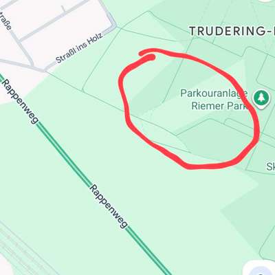 Giftköder-Junkie-Kot im Riemer Park-Bild