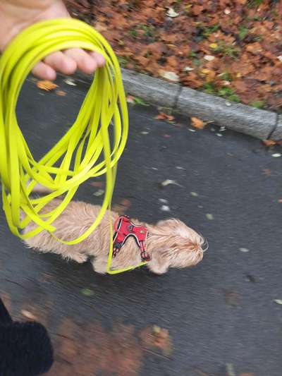 Tasche für Trainingstools etc. beim Spazierengehen-Beitrag-Bild
