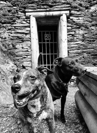 3. Farben/Fotochallenge: Schwarz/Weiß-Beitrag-Bild