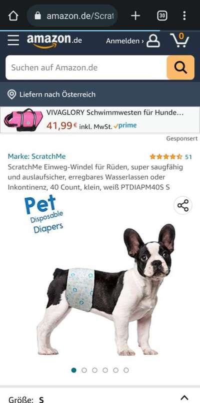 Inkontinenz Rüde- Windeln?-Beitrag-Bild