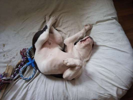 Die unbequemsten und lustigsten Schlafpositionen-Beitrag-Bild