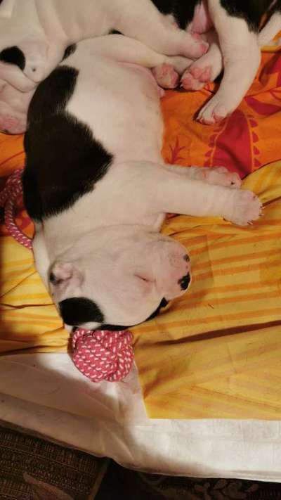 Das erste Foto-Beitrag-Bild