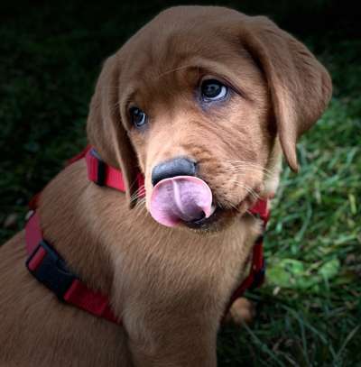 Das erste Foto-Beitrag-Bild