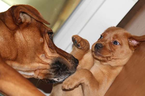 Das erste Foto-Beitrag-Bild