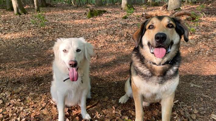 Bright side of life! Schönwetter-Thread-Beitrag-Bild