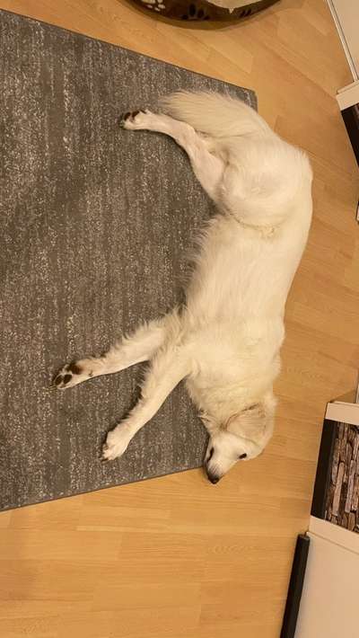 𝕋ℝ𝕀ℂ𝕂 ℂℍ𝔸𝕃𝕃𝔼ℕ𝔾𝔼 ℕℝ. 𝟚-Beitrag-Bild