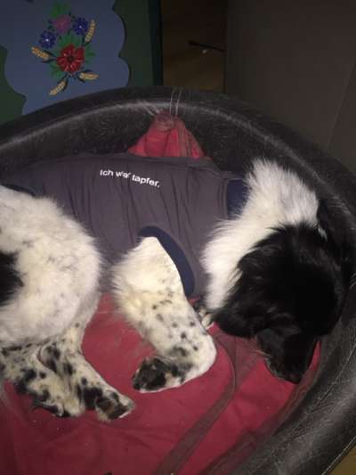 Kragen oder Post-OP-Body-Beitrag-Bild