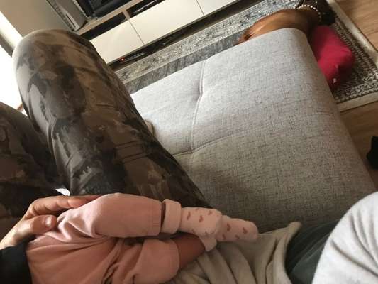 Rhodesian Ridgeback-Beitrag-Bild