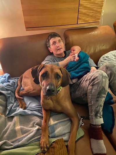 Rhodesian Ridgeback-Beitrag-Bild