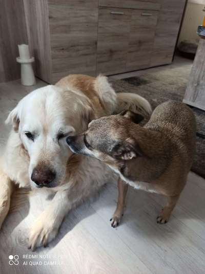 Von oben-Beitrag-Bild