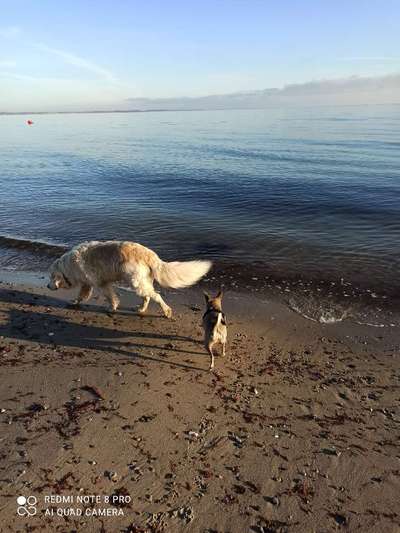 Fotowettbewerb Natur-Beitrag-Bild