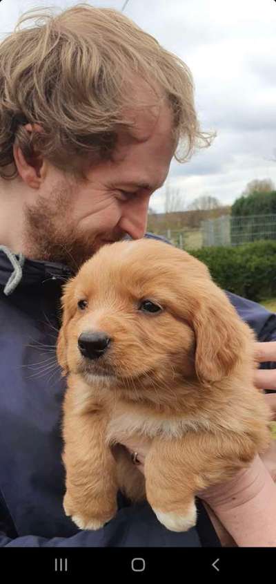 Erstes Bild-Beitrag-Bild