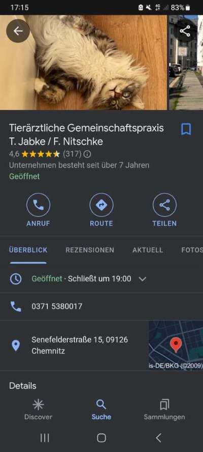 Tierklinik speziell für Fanz. Bulldogge-Beitrag-Bild