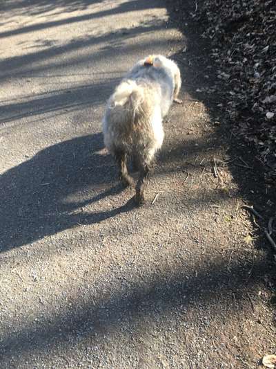 Freddys Kummerkasten-Beitrag-Bild