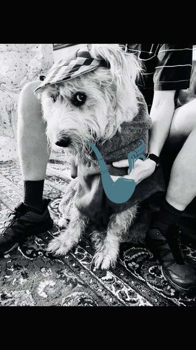 Freddys Kummerkasten-Beitrag-Bild