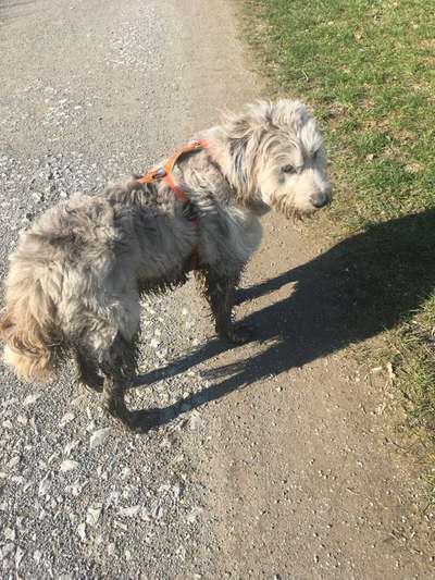 Freddys Kummerkasten-Beitrag-Bild