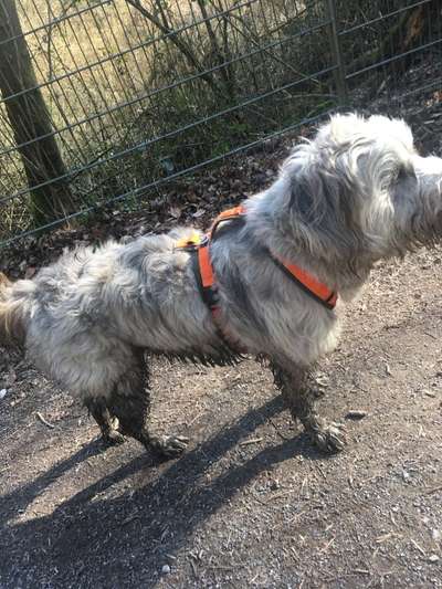 Freddys Kummerkasten-Beitrag-Bild