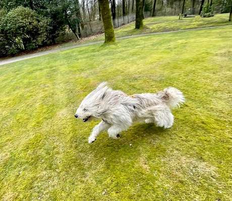 Gibts hier Mioritic Besitzer?-Beitrag-Bild