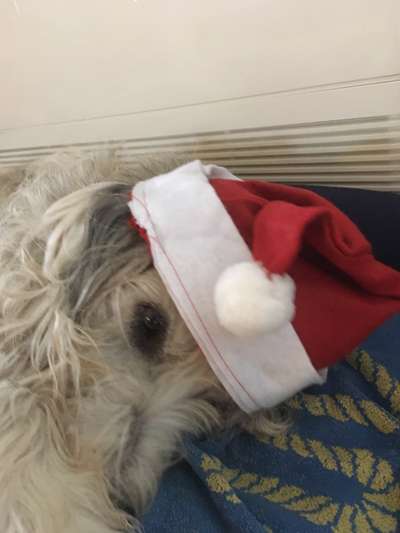 Gibts hier Mioritic Besitzer?-Beitrag-Bild