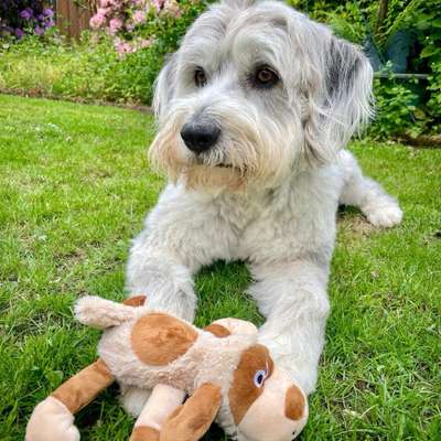 Bettina 🐾🐾's Profilbild