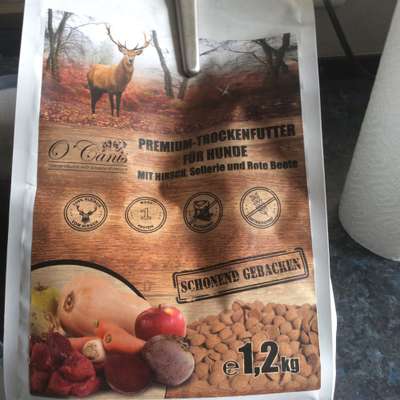 Allergiker-Hunde-Beitrag-Bild