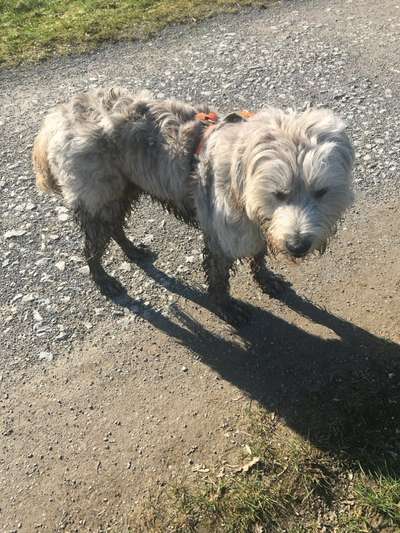 Freddys Kummerkasten-Beitrag-Bild