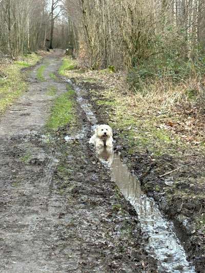 Freddys Kummerkasten-Beitrag-Bild