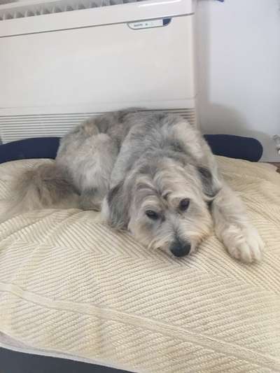 Freddys Kummerkasten-Beitrag-Bild