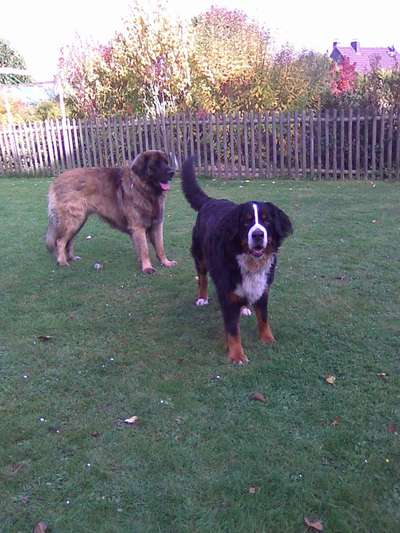 Freddys Kummerkasten-Beitrag-Bild