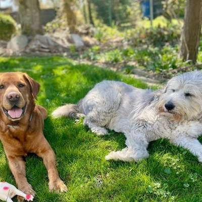 HSH abgeben?-Beitrag-Bild