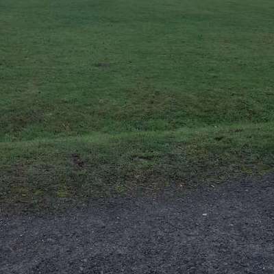 Hundeauslaufgebiet-Lichtenbroich-Bild