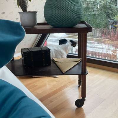 TierschutzhundeStammtisch🐕-Beitrag-Bild