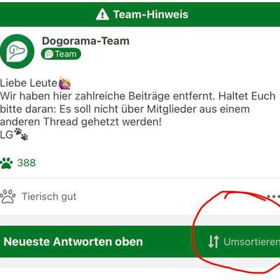 TierschutzhundeStammtisch🐕-Beitrag-Bild