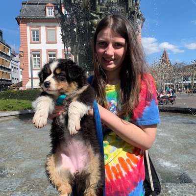 Hundetreffen-Neue Kontakte gesucht für Hund und Mensch-Bild