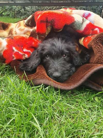 Lieblingsbild-Beitrag-Bild