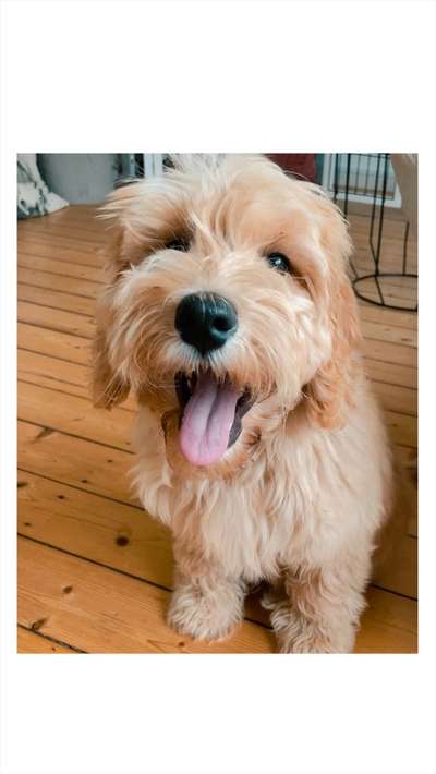 Das beste grinsefoto-Beitrag-Bild