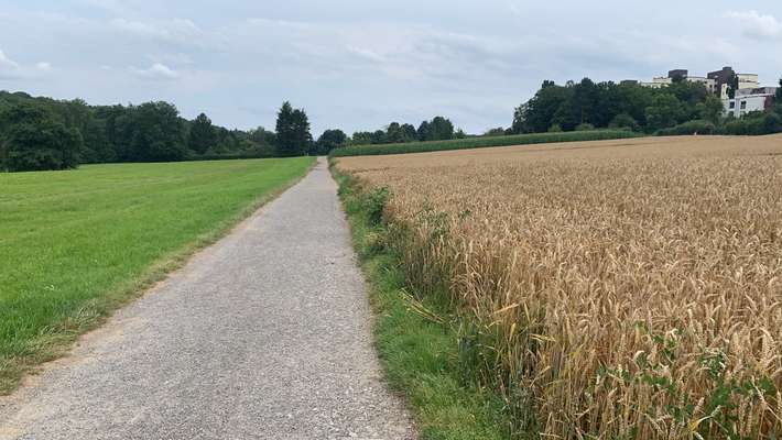 Hundeauslaufgebiet-Ramsbachtal-Bild