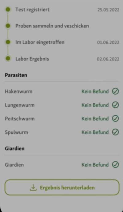 Wird zu selten entwurmt? Wurmbefall bei Hunden in Deutschland-Beitrag-Bild