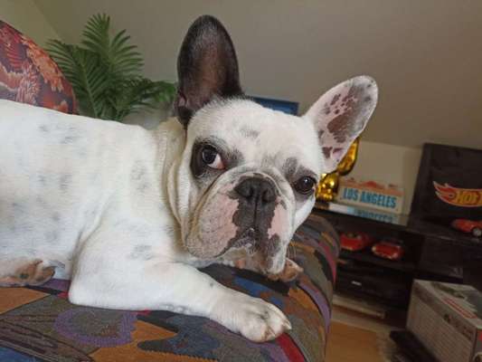 Lieblingsbild :D-Beitrag-Bild