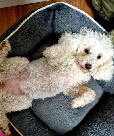 Die unbequemsten und lustigsten Schlafpositionen-Beitrag-Bild